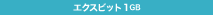 エクスビット　1GB
