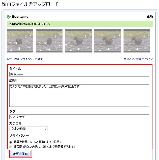 動画の情報を入力