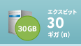 エクスビット 30ギガ(n)