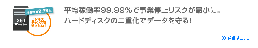 平均稼働率99.99％で事業停止リスクが最小に。ハードディスクのニ重化でデータを守る！