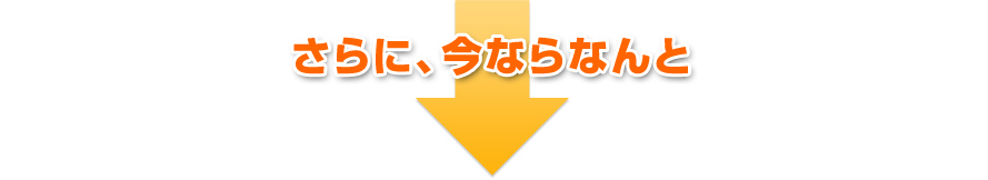 だからXbitはWebサイトの表示速度に強いんです！さらに今ならキャンペーン中！