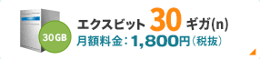 エクスビット 30ギガ(n)