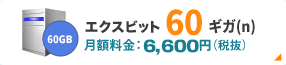 エクスビット 60ギガ(n)