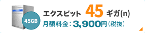 エクスビット 45ギガ(n)